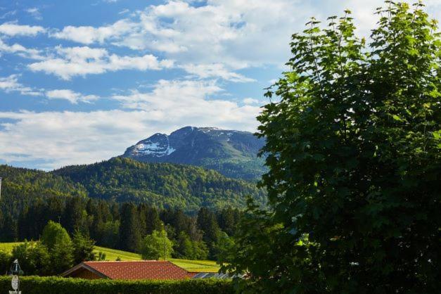 Vila Haus Almrose Reit im Winkl Exteriér fotografie